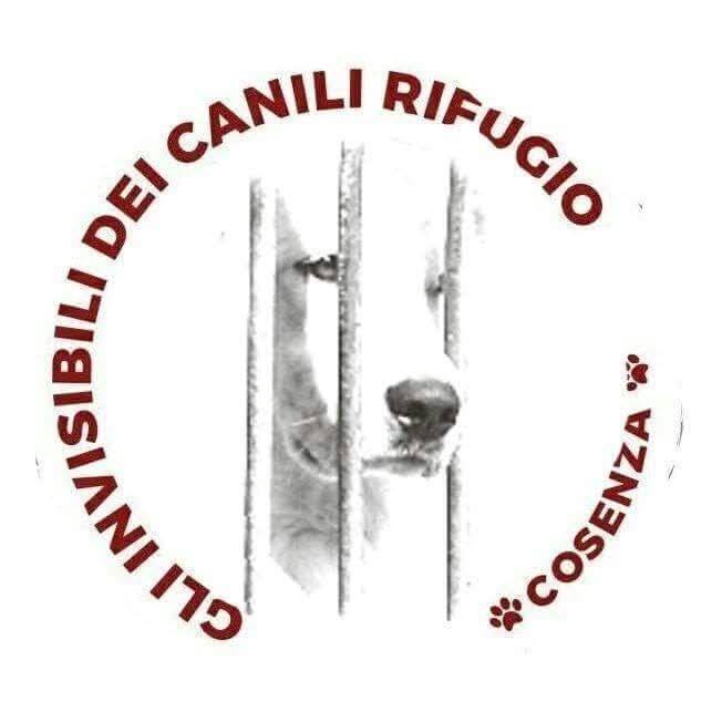 INVISIBILI