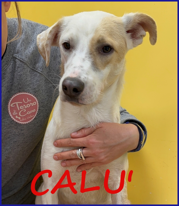 calu